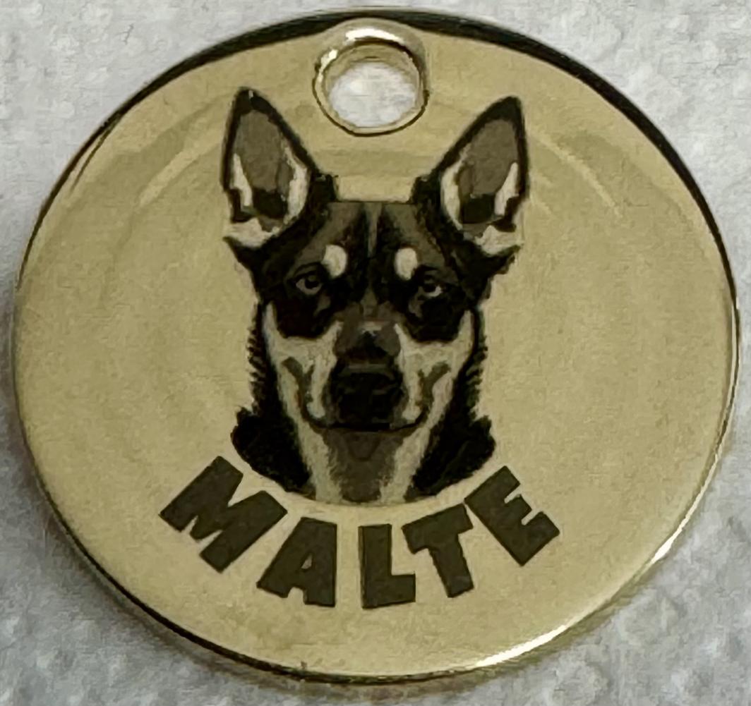 Namnbricka för hund